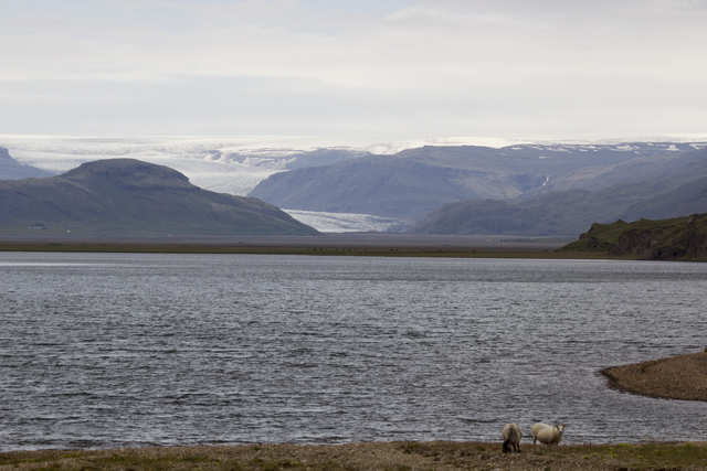 2011-07-05_14-33-59 island.jpg - Blick ber den Stausse vor dem Flaajkull